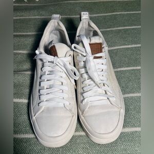 Steve Madden White Leather Low-Top Sneakers with Brown Logo Patch